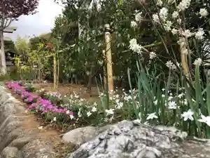 横浜御嶽神社の自然(2020年04月06日(月) 19時03分42秒投稿)