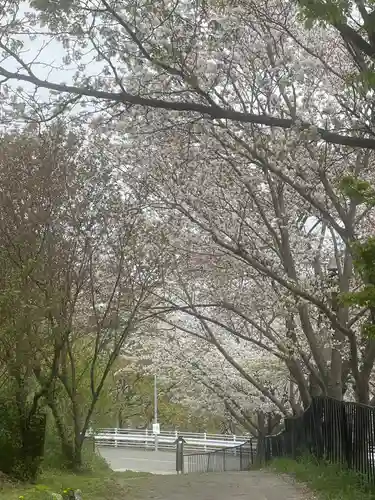 駒形嶽駒弓神社(長野県)