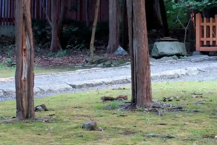 北海道神宮(北海道)