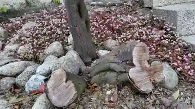 近江神宮(滋賀県)