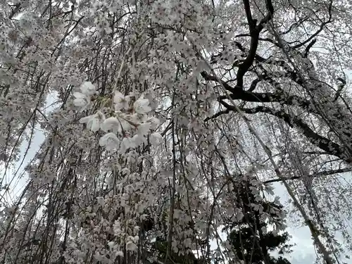 久遠寺(山梨県)
