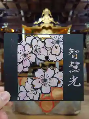 カラーバリエーション③