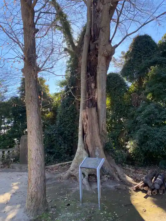 大生郷天満宮(茨城県)