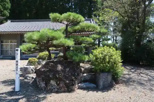  来振神社の自然