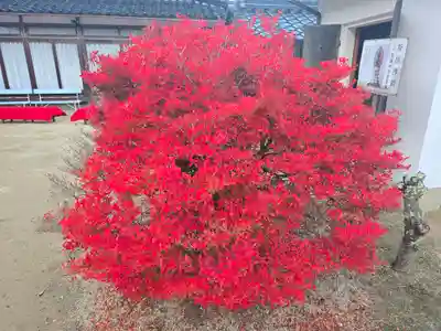 安國寺(兵庫県)