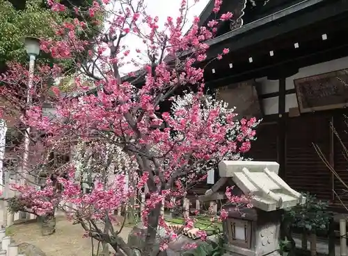 大阪天満宮の自然