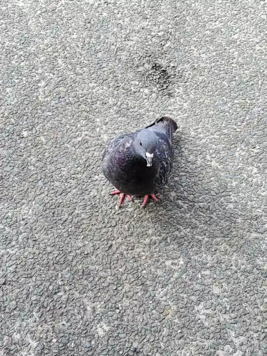 善光寺旧如来堂跡地蔵尊(延命地蔵尊)の動物