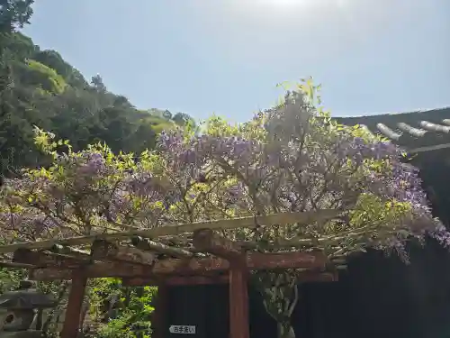 法起院(奈良県)