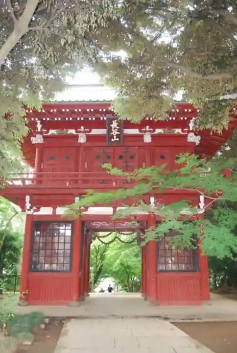 本土寺の山門・神門