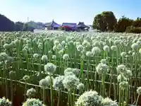 真言宗 善通寺派 薬王寺(香川県)