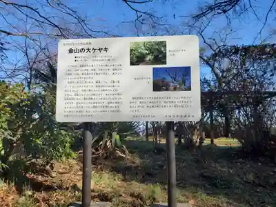 新田神社の周辺