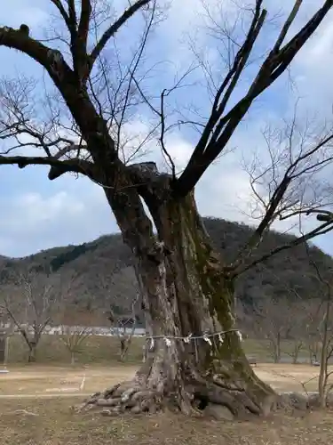 新宮八幡神社(兵庫県)