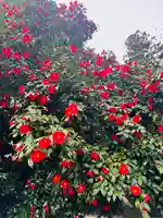 守りの神 藤基神社(新潟県)