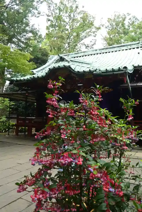 赤坂氷川神社(東京都)