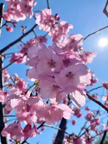 鹿嶋三嶋神社(茨城県)