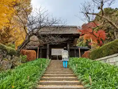 横浜 西方寺の山門・神門