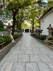 石切劔箭神社(大阪府)