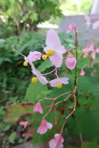 多禰寺(京都府)