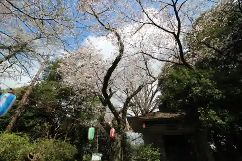 弘法山　大師堂(神奈川県)