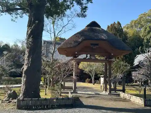 鏡忍寺の{uncategorized: "未分類", other: "その他", undefined: "問題あり", building: "その他建物", grave: "お墓", sacred_gate: "鳥居", guardian: "狛犬", statue: "像", buddha: "仏像", history: "歴史", nature: "自然", garden: "庭園", animal: "動物", pagoda: "塔", temizu: "手水舎", mountain_gate: "山門・神門", sanctuary: "本殿・本堂", subordinate: "末社・摂社", art: "芸術", scenery: "景色", jizo: "地蔵", ema: "絵馬", goshuin: "御朱印", omikuji: "おみくじ", items: "授与品その他", amulet: "お守り", goshuincho: "御朱印帳", eats: "食事", festival: "お祭り", votive_dance: "神楽", shichigosan: "七五三参", wedding: "結婚式", experience: "体験その他", initially: "初詣", around: "周辺", anti_infection: "感染症対策"}