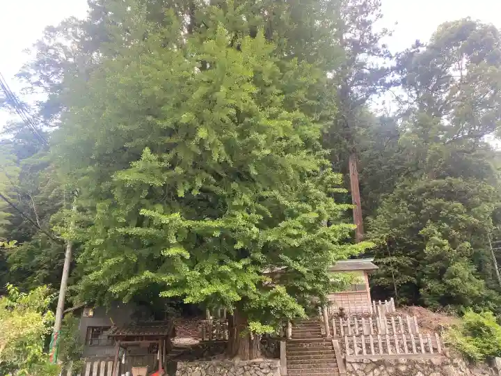 丹生神社の{uncategorized: "未分類", other: "その他", undefined: "問題あり", building: "その他建物", grave: "お墓", sacred_gate: "鳥居", guardian: "狛犬", statue: "像", buddha: "仏像", history: "歴史", nature: "自然", garden: "庭園", animal: "動物", pagoda: "塔", temizu: "手水舎", mountain_gate: "山門・神門", sanctuary: "本殿・本堂", subordinate: "末社・摂社", art: "芸術", scenery: "景色", jizo: "地蔵", ema: "絵馬", goshuin: "御朱印", omikuji: "おみくじ", items: "授与品その他", amulet: "お守り", goshuincho: "御朱印帳", eats: "食事", festival: "お祭り", votive_dance: "神楽", shichigosan: "七五三参", wedding: "結婚式", experience: "体験その他", initially: "初詣", around: "周辺", anti_infection: "感染症対策"}