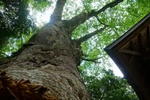 丹生川上神社（下社）の自然