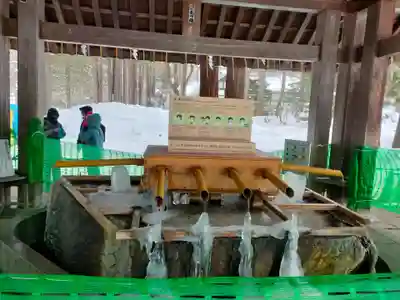 北海道神宮の手水舎