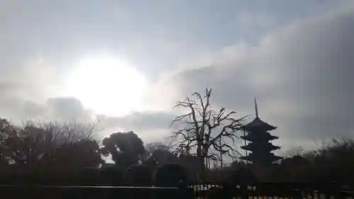 東寺（教王護国寺）(京都府)