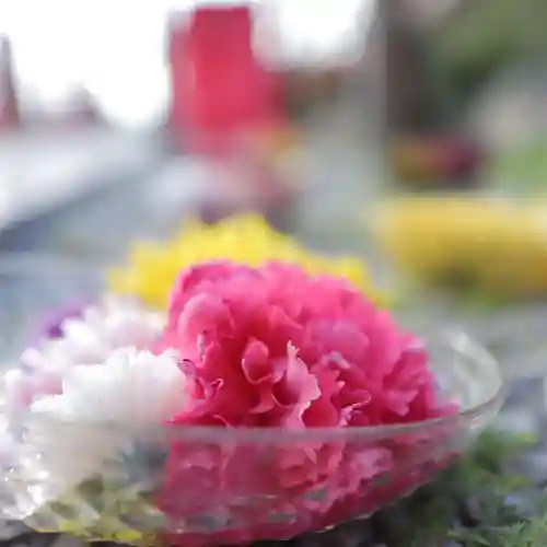 埼玉厄除け開運大師・龍泉寺（切り絵御朱印発祥の寺）の手水舎