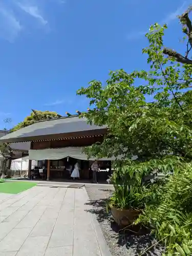 阿佐ヶ谷神明宮(東京都)
