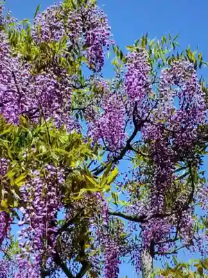 國領神社(東京都)