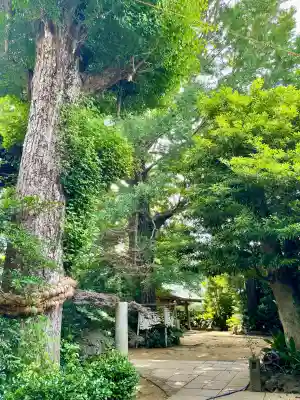 奥澤神社(東京都)