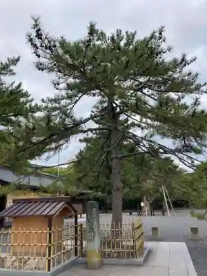 氣比神宮(福井県)