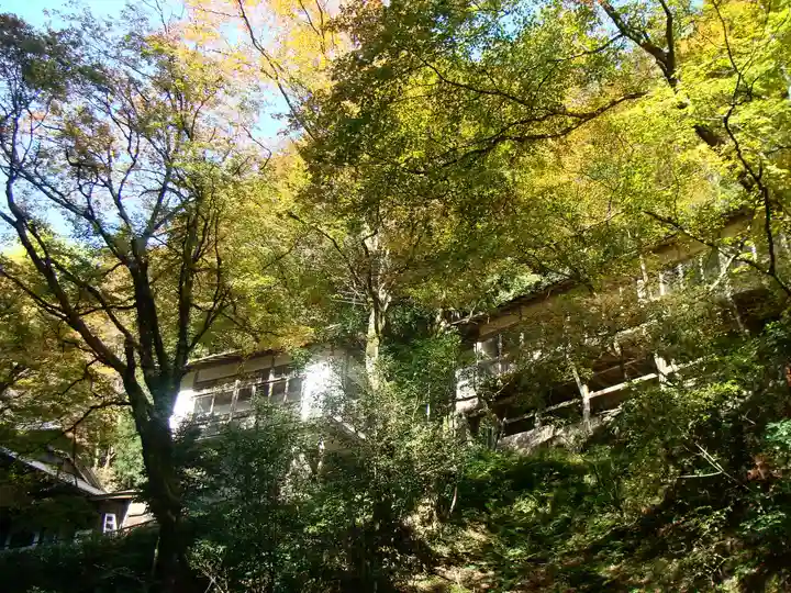 志明院(金光峯寺)(京都府)
