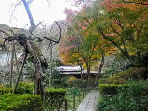 瑞泉寺の庭園