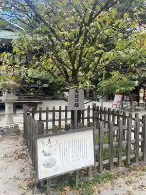 白峯神宮(京都府)