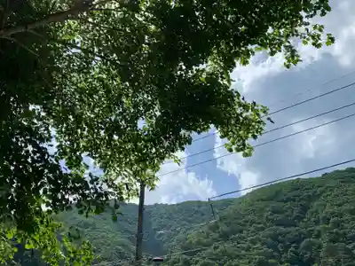 金花猫大明神の周辺