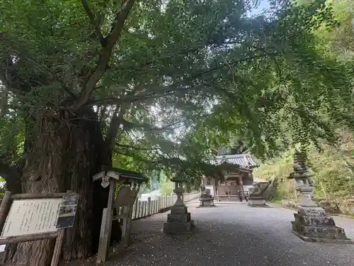 素盞雄神社(奈良県)