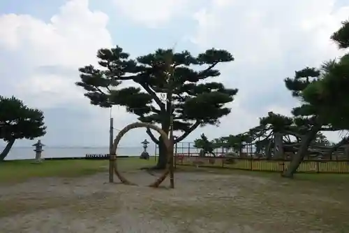 唐崎神社の自然