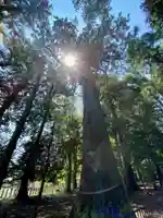 若狭彦神社(上社)(福井県)