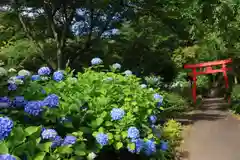 三春駒神社の鳥居