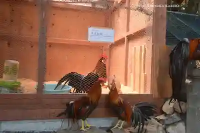 大甕神社(茨城県)