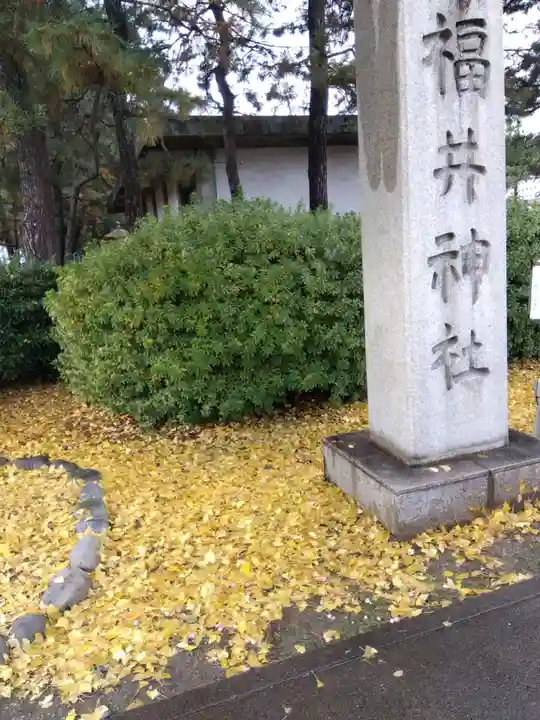 福井神社(福井県)