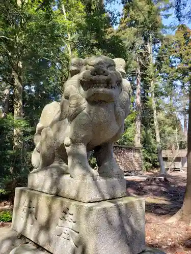 常国神社の狛犬