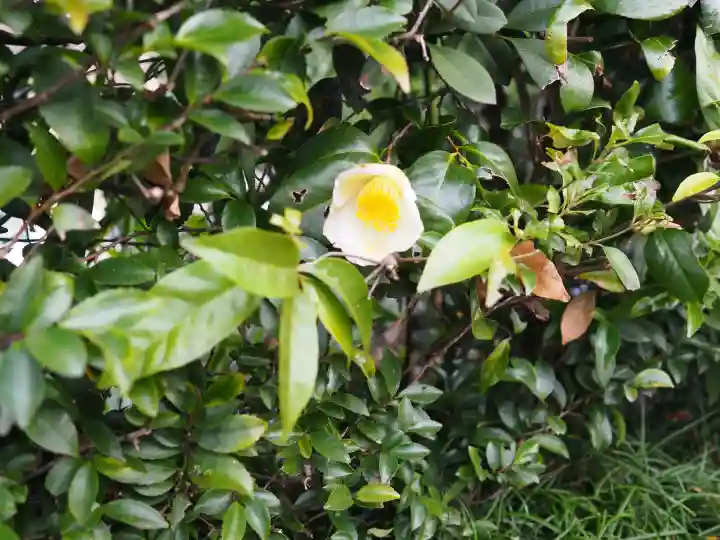 慈光院の{uncategorized: "未分類", other: "その他", undefined: "問題あり", building: "その他建物", grave: "お墓", sacred_gate: "鳥居", guardian: "狛犬", statue: "像", buddha: "仏像", history: "歴史", nature: "自然", garden: "庭園", animal: "動物", pagoda: "塔", temizu: "手水舎", mountain_gate: "山門・神門", sanctuary: "本殿・本堂", subordinate: "末社・摂社", art: "芸術", scenery: "景色", jizo: "地蔵", ema: "絵馬", goshuin: "御朱印", omikuji: "おみくじ", items: "授与品その他", amulet: "お守り", goshuincho: "御朱印帳", eats: "食事", festival: "お祭り", votive_dance: "神楽", shichigosan: "七五三参", wedding: "結婚式", experience: "体験その他", initially: "初詣", around: "周辺", anti_infection: "感染症対策"}
