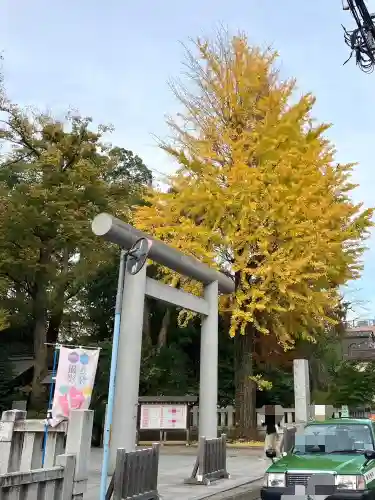 阿佐ヶ谷神明宮の鳥居