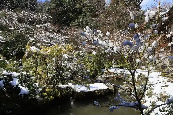 実相院門跡(京都府)