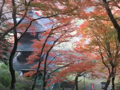 金剛院(京都府)