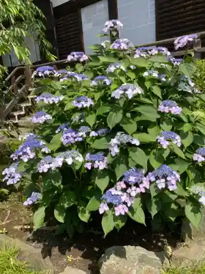 永勝寺(神奈川県)