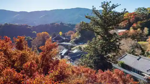 長谷寺(奈良県)